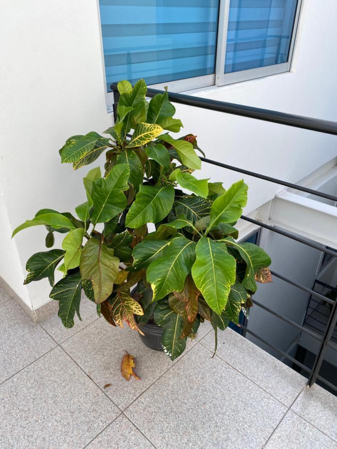 Casablanca Apartment *